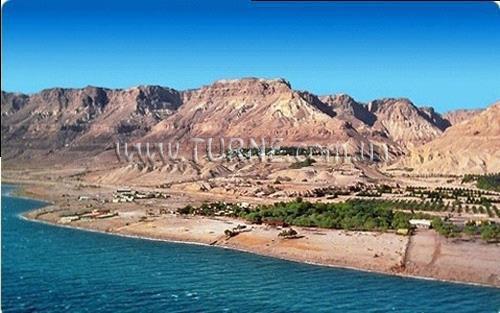 Фотография Ein-Gedi Resort 4*