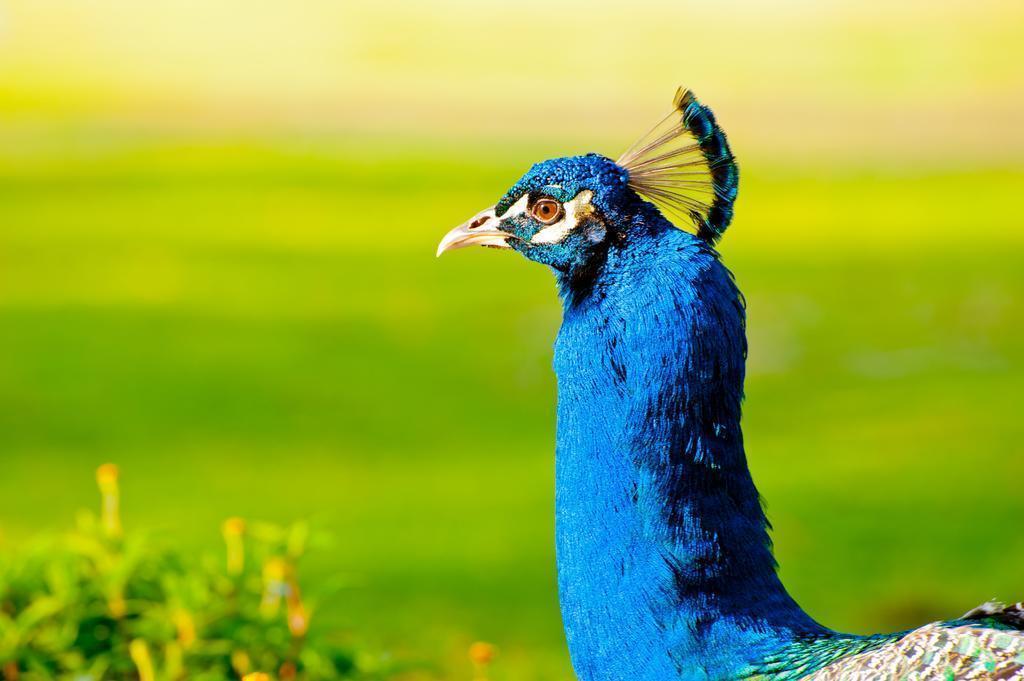 Картинка Leonardo Inn Hotel Dead Sea 3*