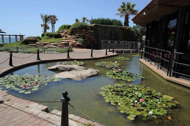 Изображение Park Hotel Netanya 3*