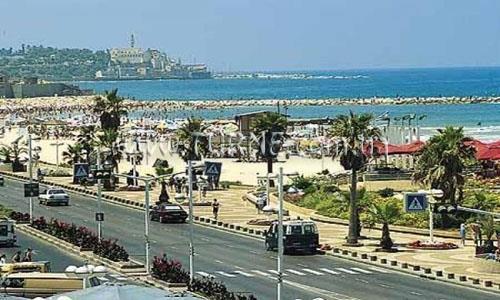 Отель Kfar Maccabiah Hotel & Suite 5*