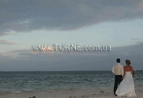 Фото Driftwoodbeach Club 1*