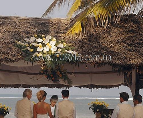 Отель Driftwoodbeach Club 1*