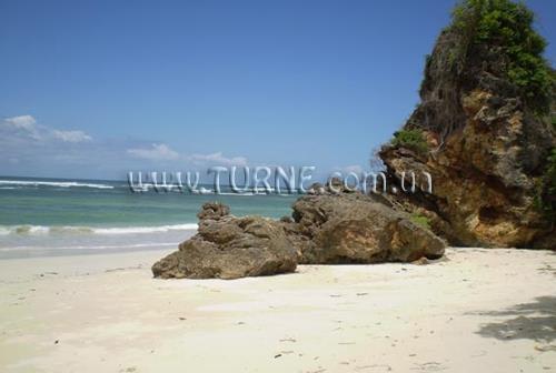 Изображение Msambweni Beach House & Privates Villas 5*