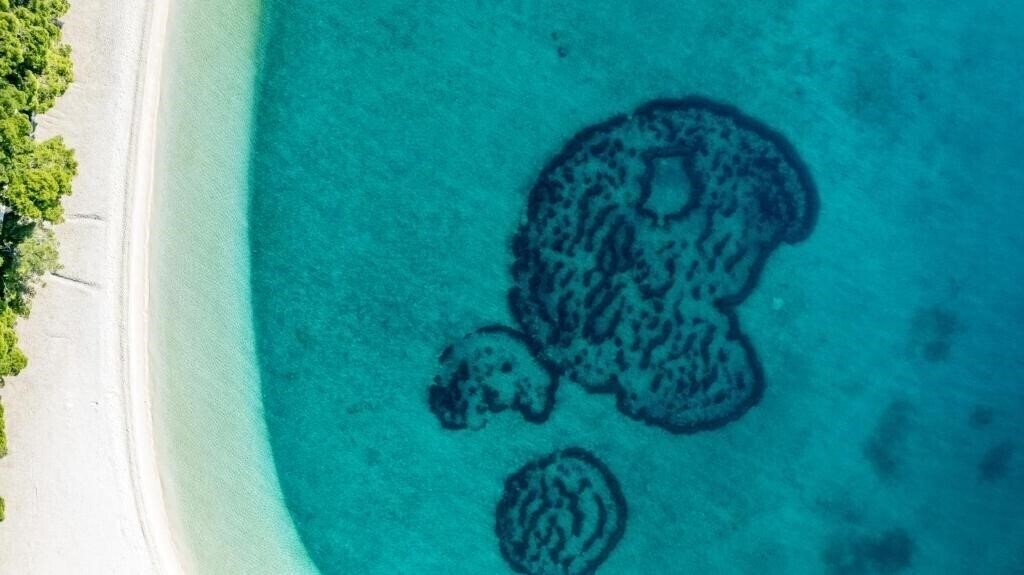 Изображение Hotel Horizont 4*