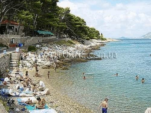 Фотография Albatros Hotel 4*