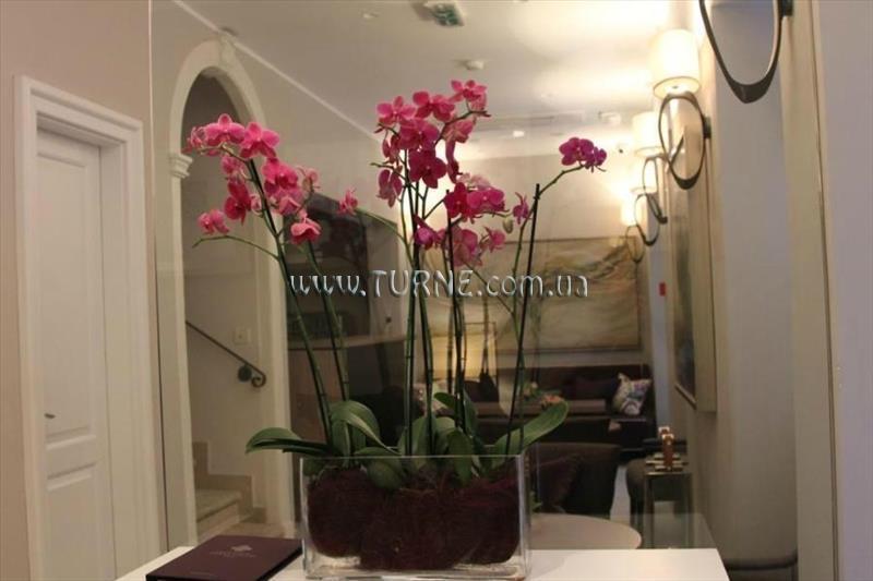 Отель Stari Grad 3*