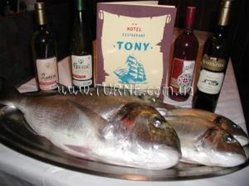 Фото Toni Hotel 2*