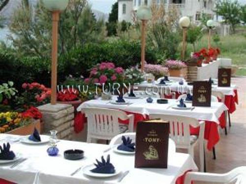 Отель Toni Hotel 2*