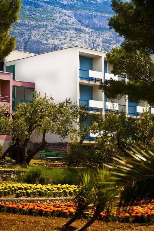 Фото Rivijera 2*