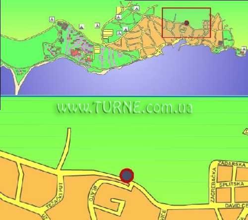 Картинка Ellen 2*