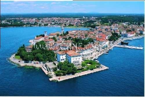 Изображение Ellen 2*