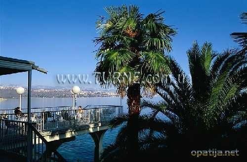 Фотография Kristal 4*