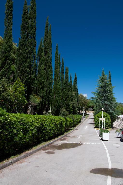 Фотография Eva 2*