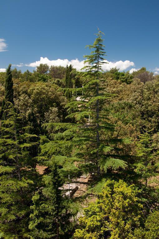 Изображение Eva 2*