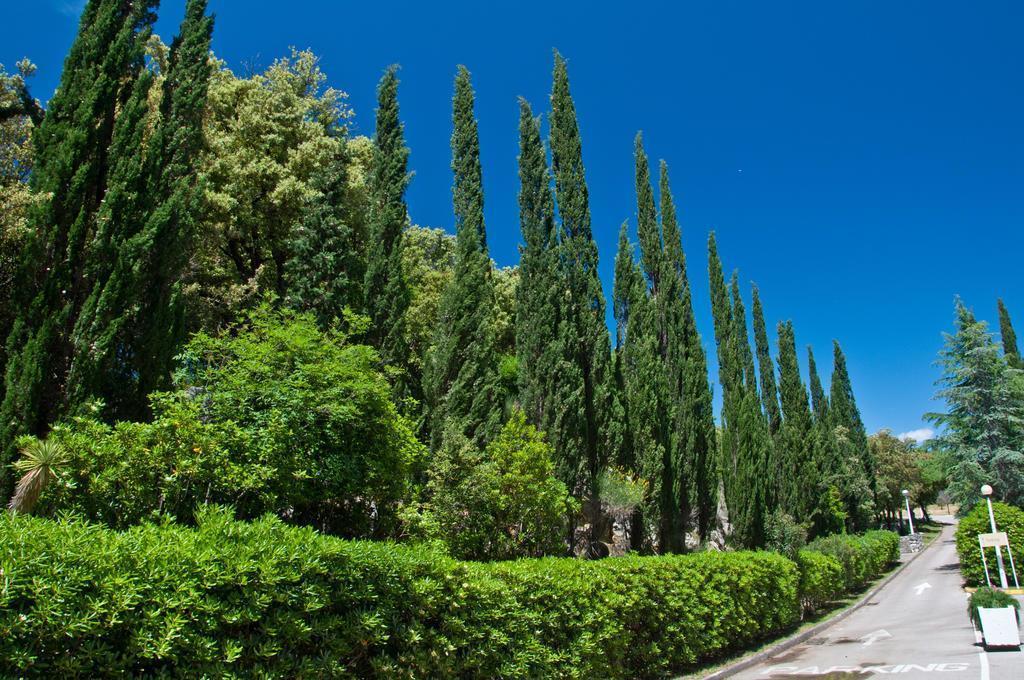 Картинка Eva 2*