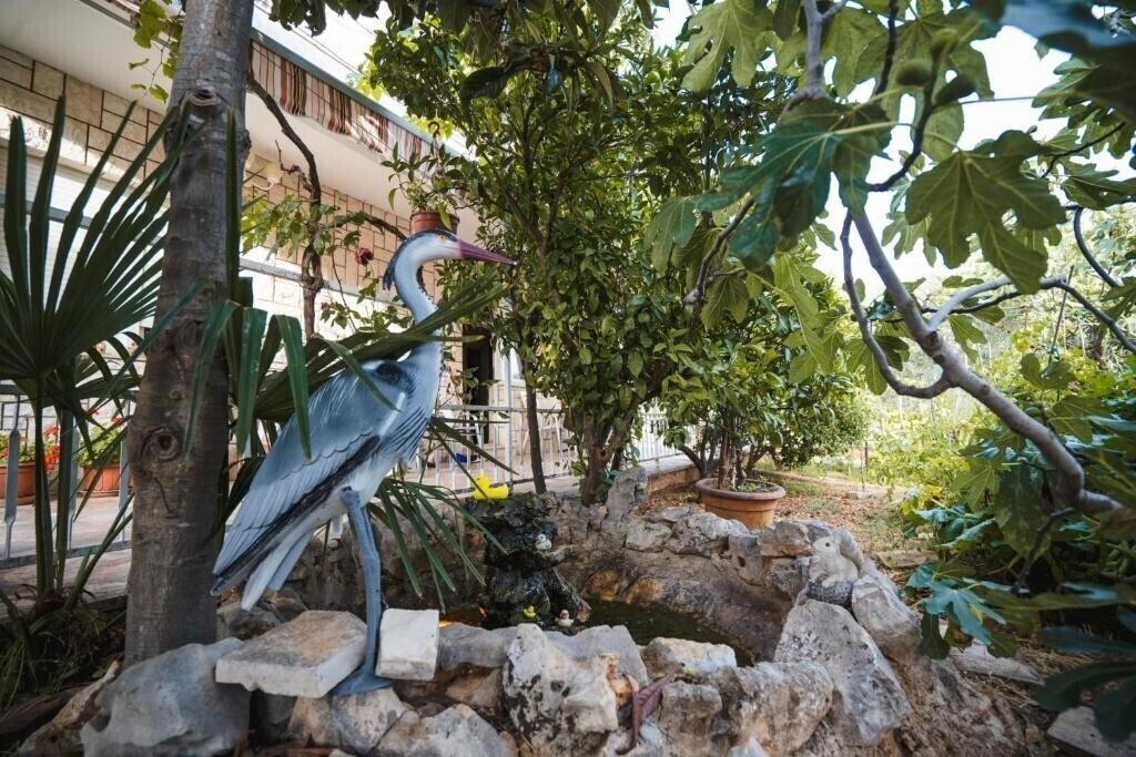 Фотография App Ivan House апартаменты