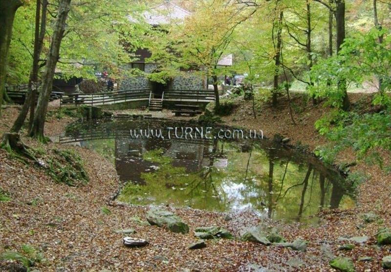 Отель The Movie Hotel 3*