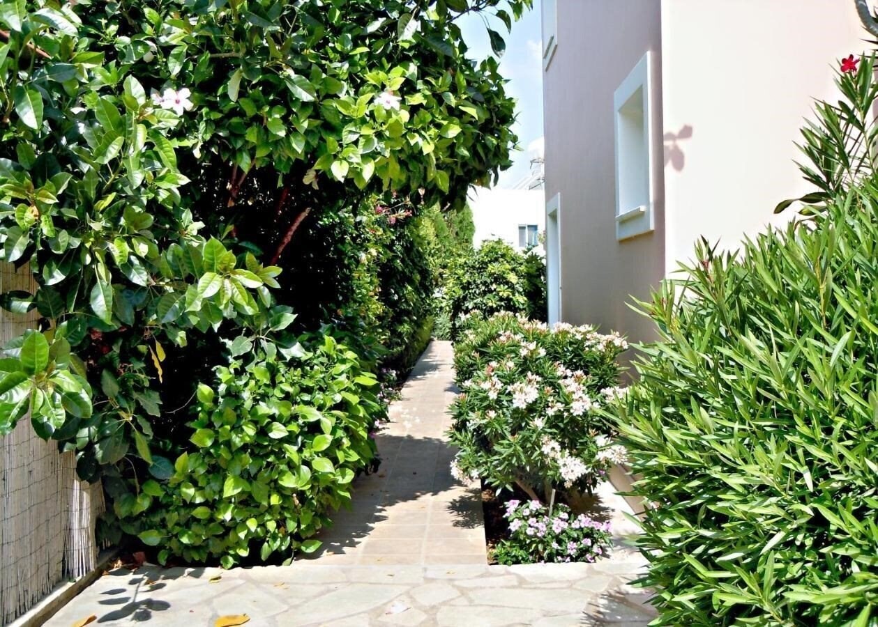 Фотография Rododafni Villas 3*