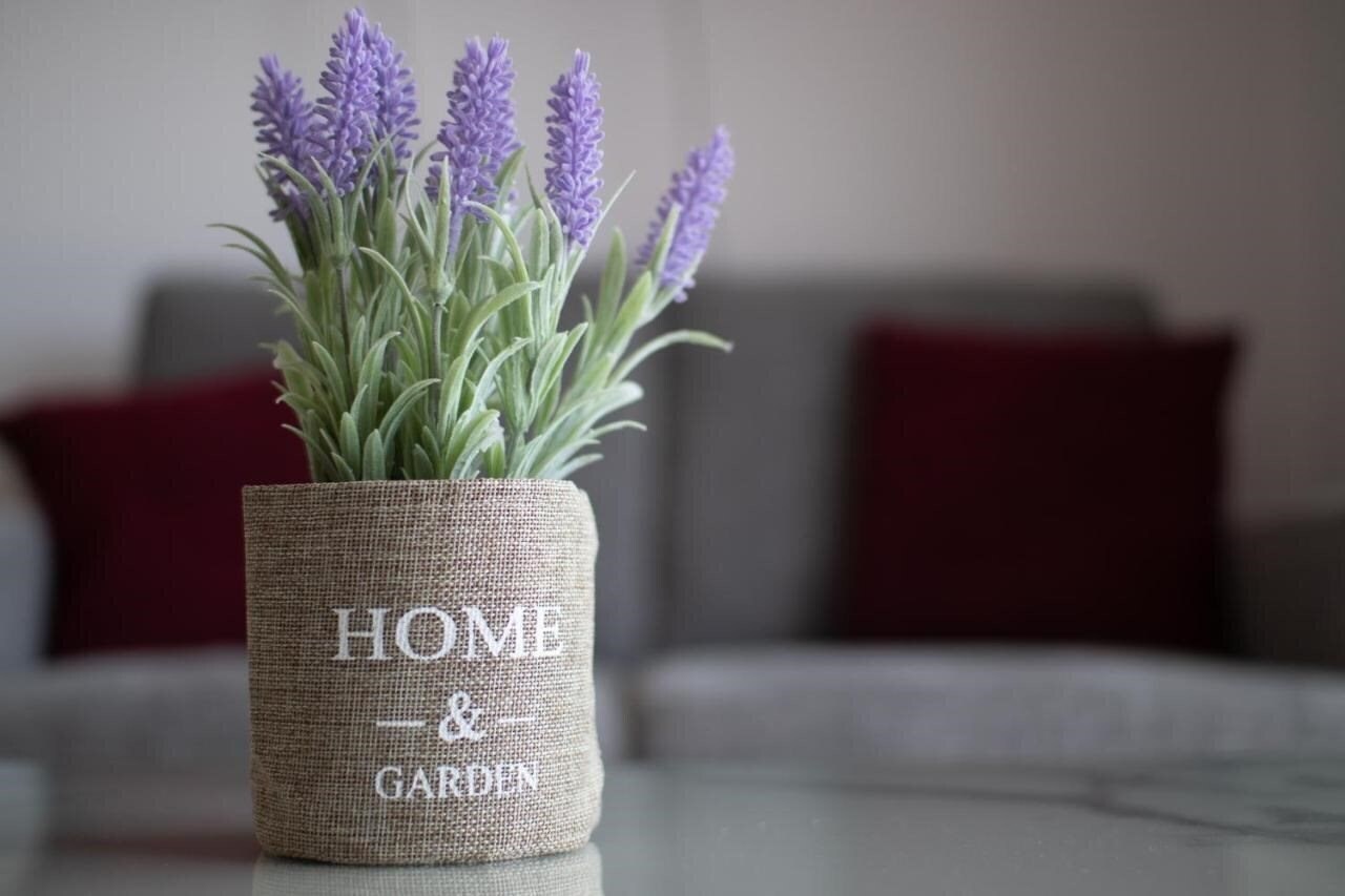 Картинка Apartment Emelia 4*