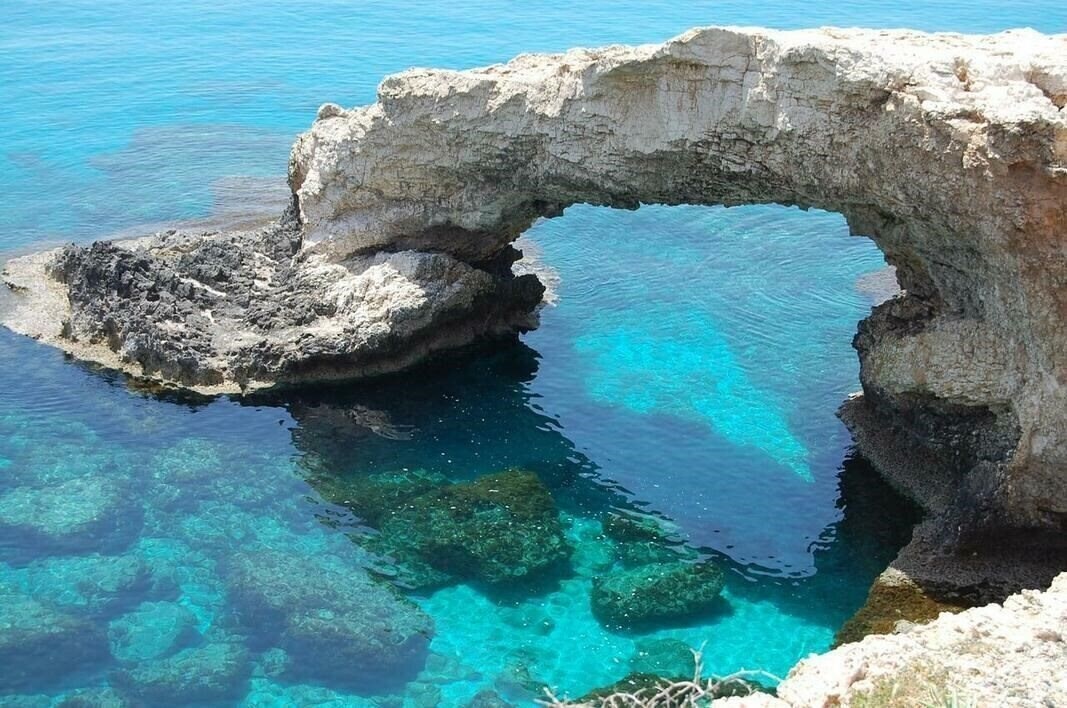 Фото Protaras Villa Capri 3*