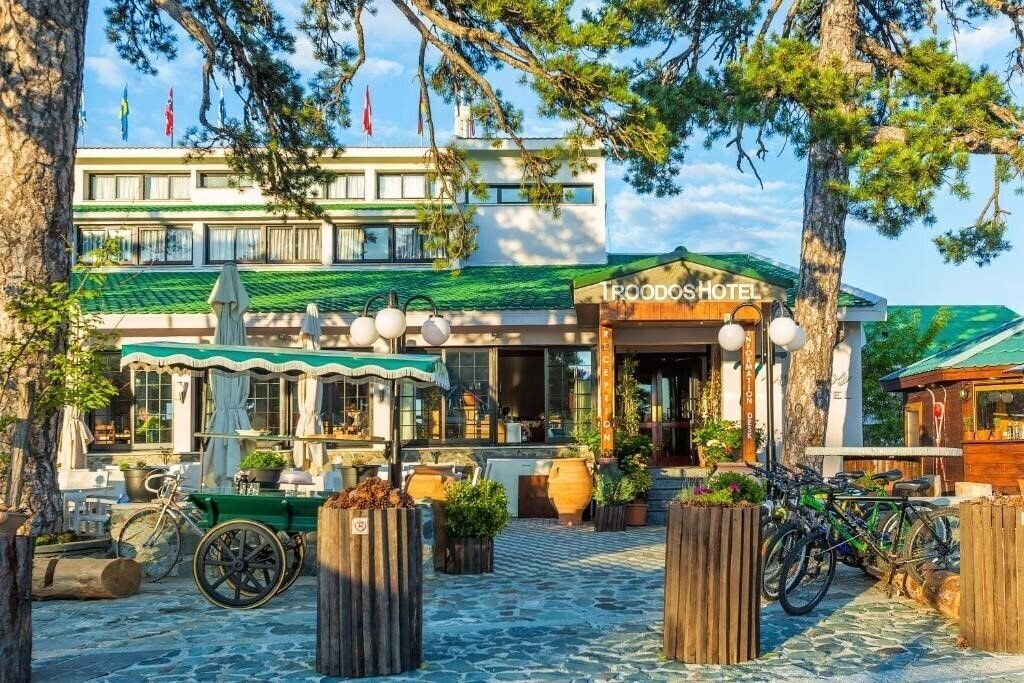 Отель Troodos Hotel 3*