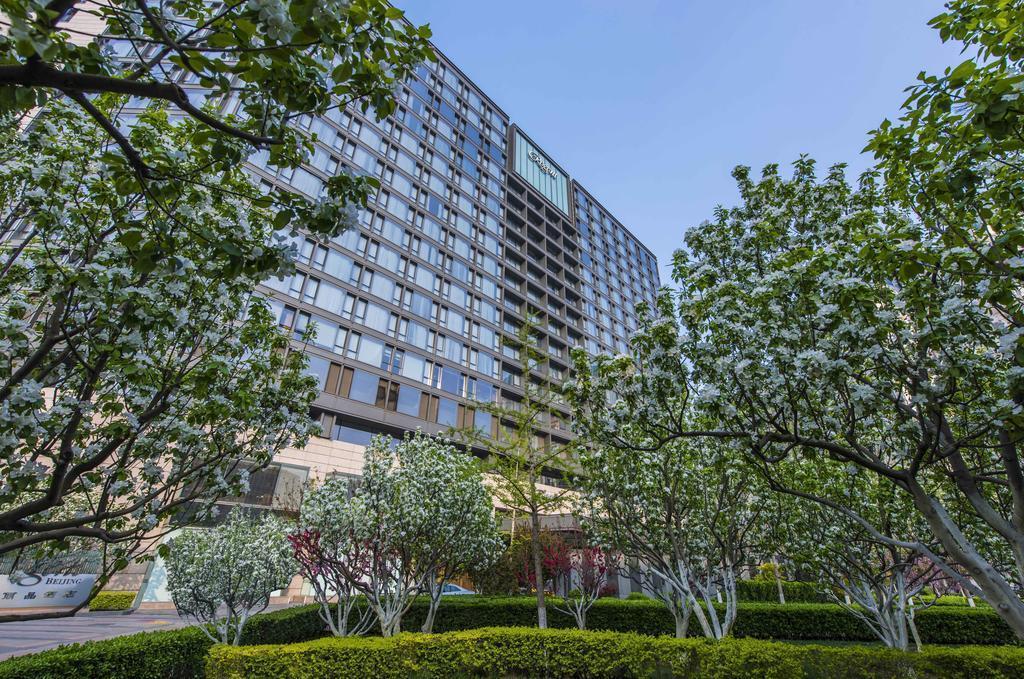 Отель The Regent 5*