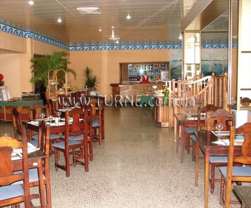 Изображение Ankon 3*