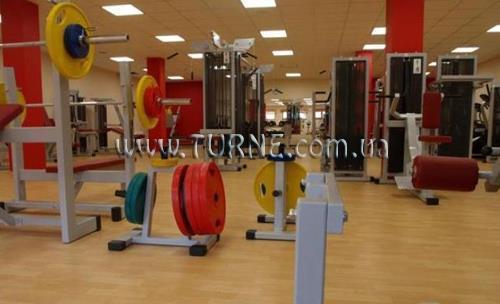 Изображение Trasalis 3*