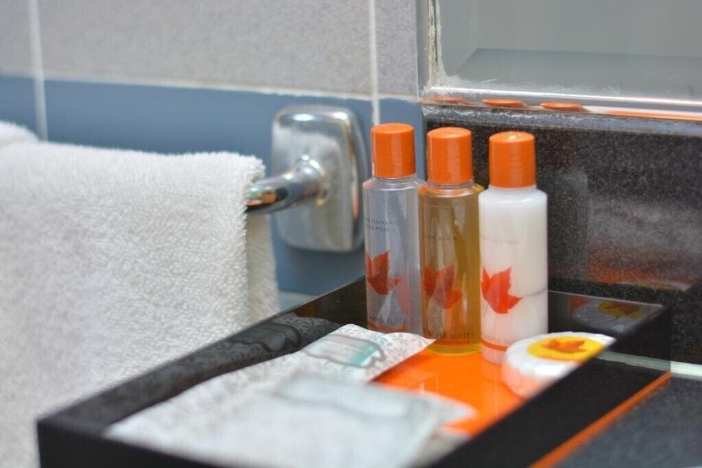 Отель The Maple Suite 3*