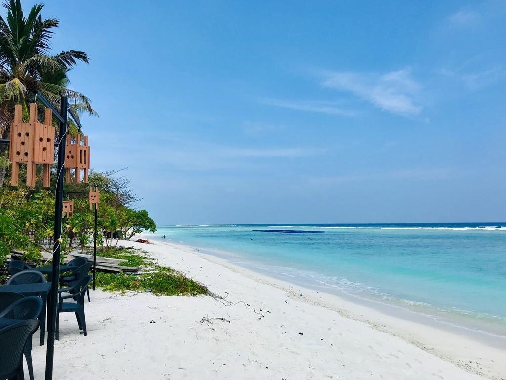 Отель Airport Comfort Inn Premium 3*