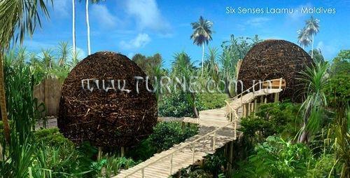 Картинка Six Senses Latitude Laamu 5*