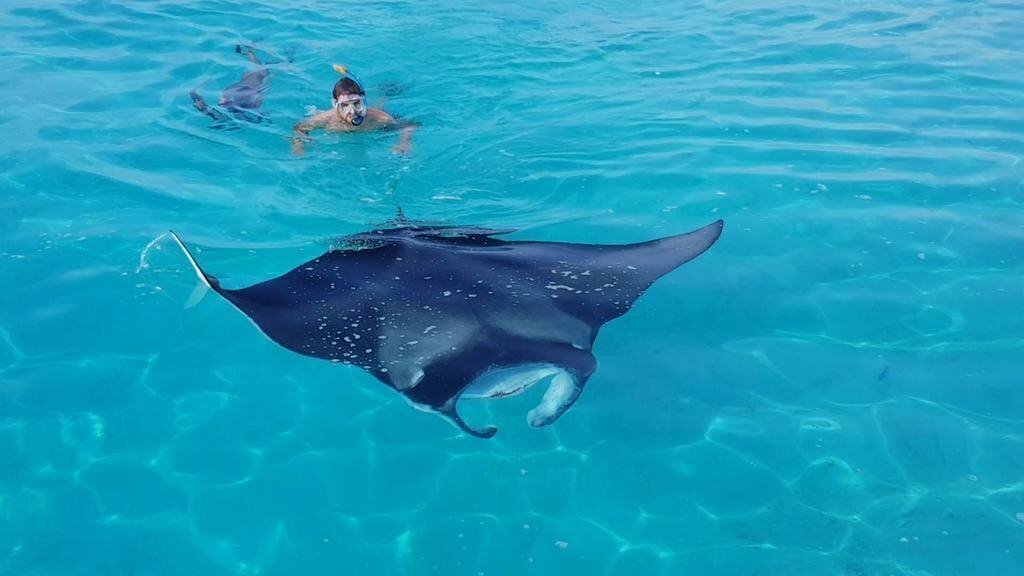 Отель Ari Villa Sea View Guest House вилла