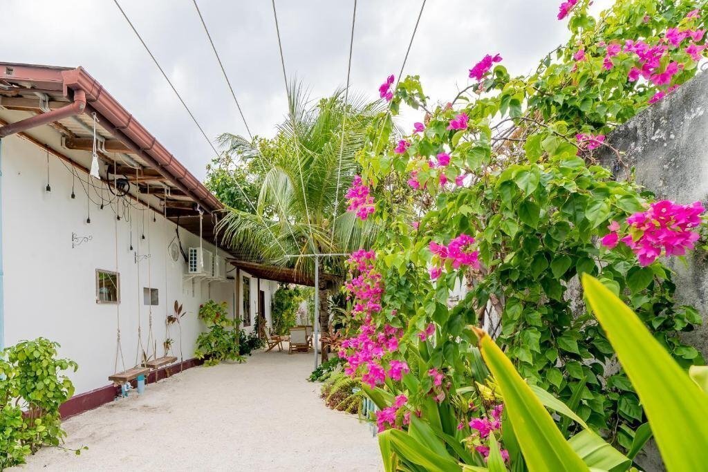 Изображение Casa Paguro Bodufolhudhoo 3*
