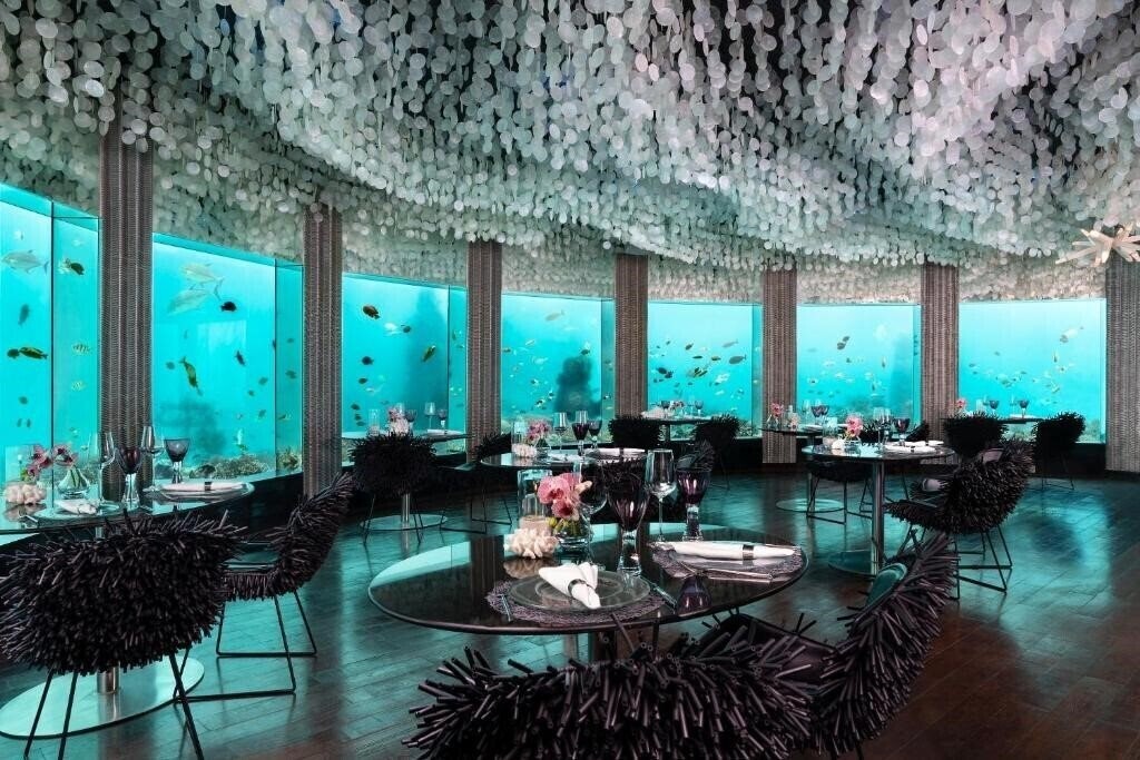 Изображение Niyama Private Islands Maldives 5*
