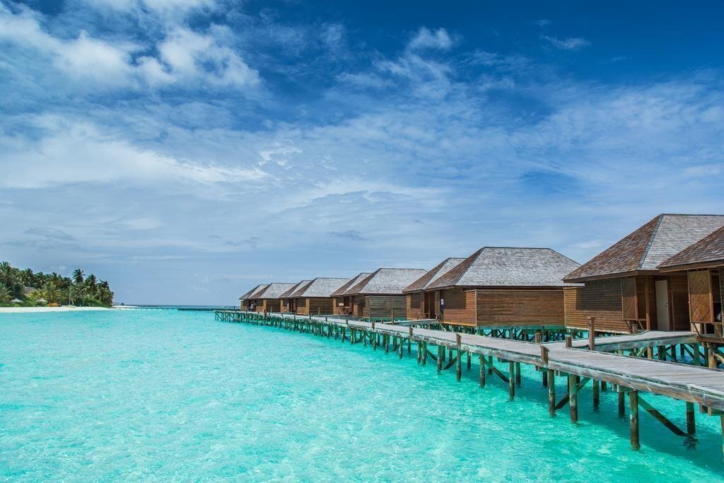 Фотография Velidhu Island Resort 3*