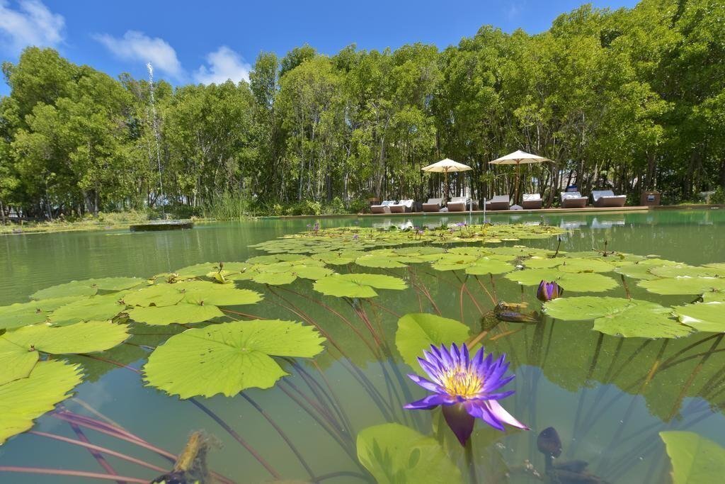 Фотография Dreamland The Unique Sea & Lake Resort SPA 4*