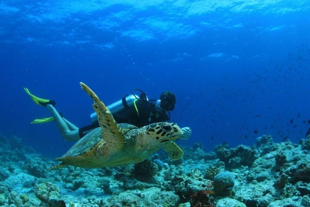 Изображение Amilla Maldives Resort & Residences 5*