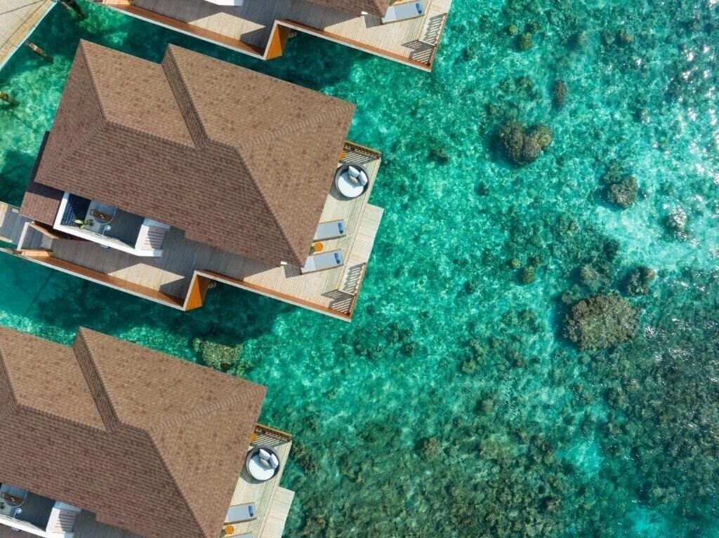 Изображение Avani Fares Maldives Resort 5*