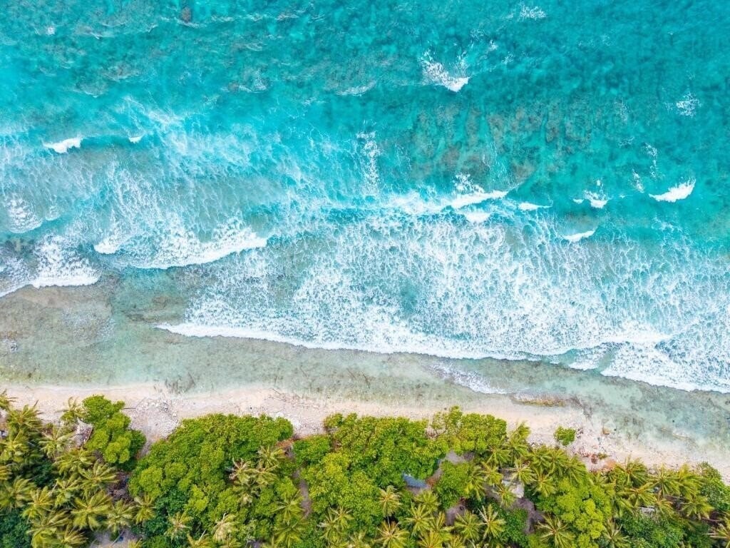 Картинка Pavona Maldives 3*