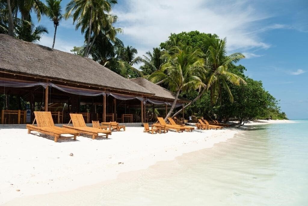 Изображение Ecoboo Maldives Boutique Hotel 3*