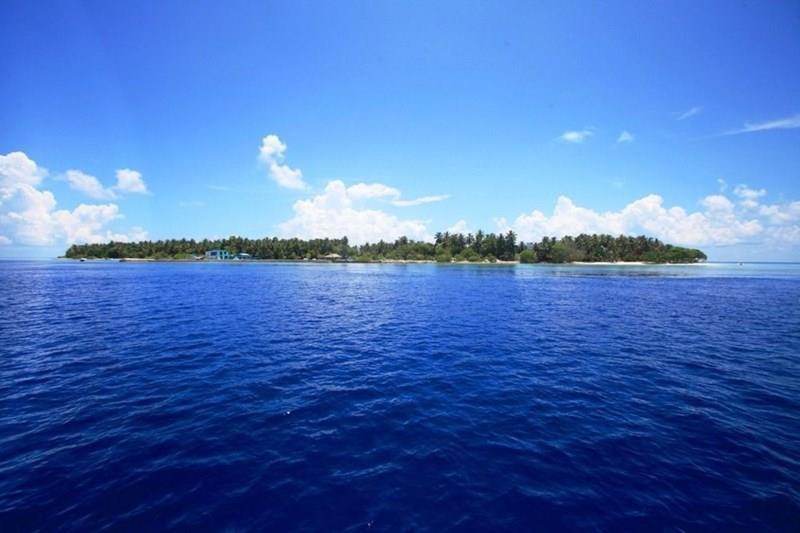 Изображение Plumeria Boutique Guest House 4*