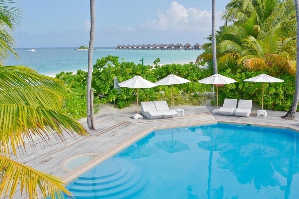 Изображение Safari Island Hotel 4*