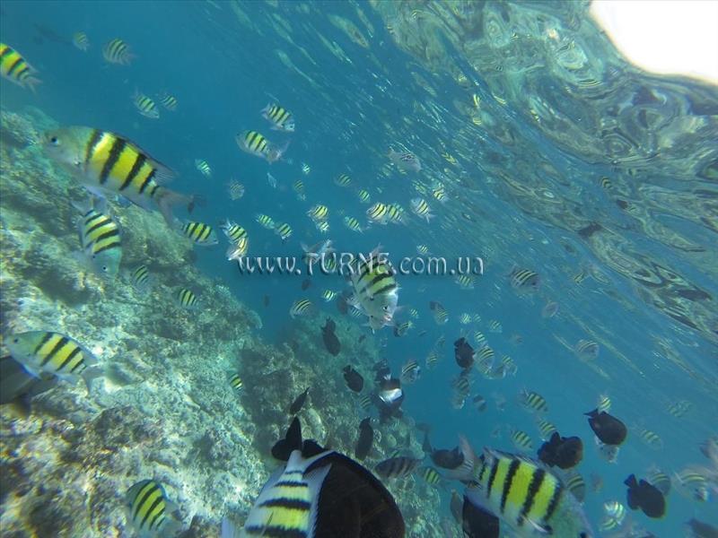 Отель Askani Villa Guest House гостиный двор