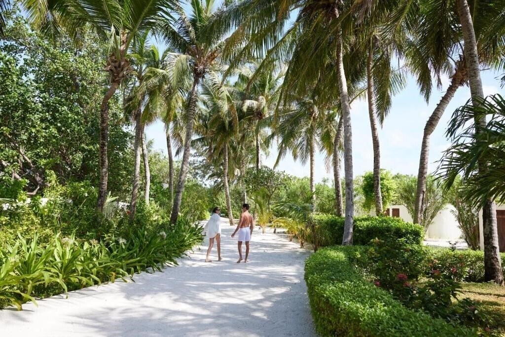 Изображение Centara Ras Fushi Resort & SPA 4*