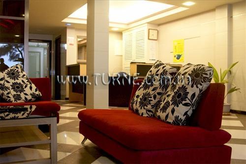 Изображение Palm View 3*