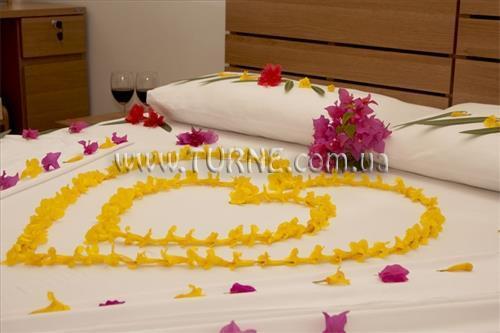 Отель Palm View 3*