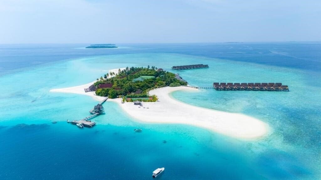 Отель Dhigufaru Island Resort 5*