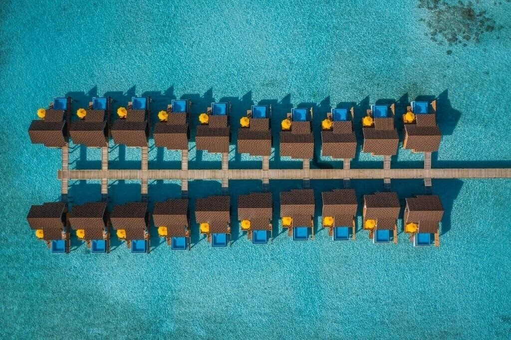 Фотография Dhigufaru Island Resort 5*