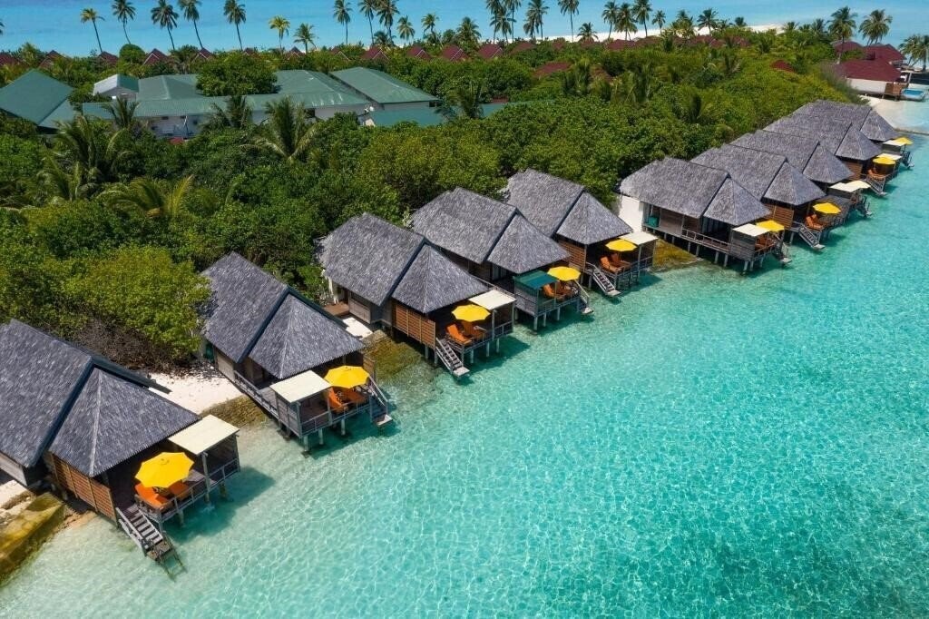 Изображение Dhigufaru Island Resort 5*