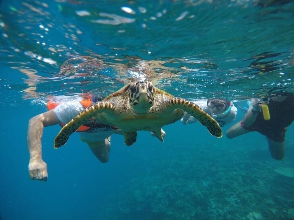 Фотография Iris Beach Residence 3*